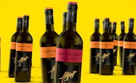 Yellowtail